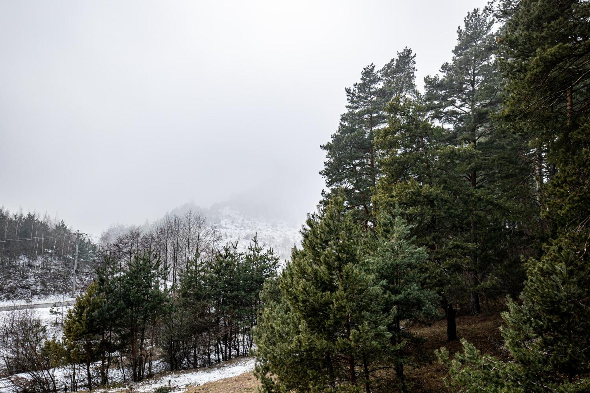 Carpentiere Arena Hotel Răşinari Kültér fotó